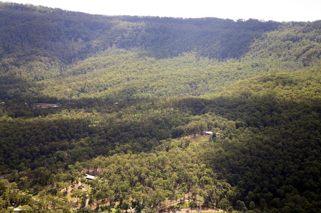 Wallaby Ridge Retreat Mount Tamborine Kültér fotó