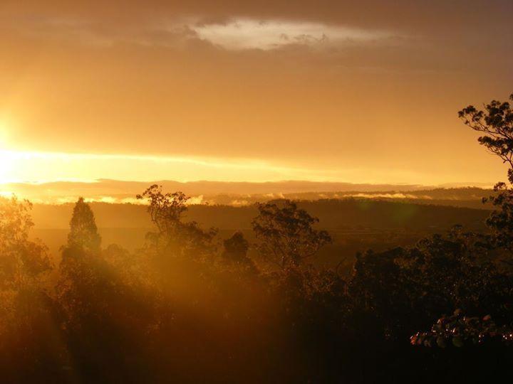 Wallaby Ridge Retreat Mount Tamborine Kültér fotó